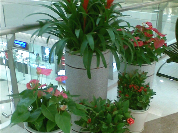 e93caf6b725c0df69ab39d399e5b272b.jpg
