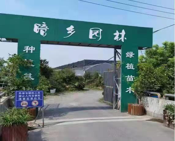 暗乡园林 暗乡园林